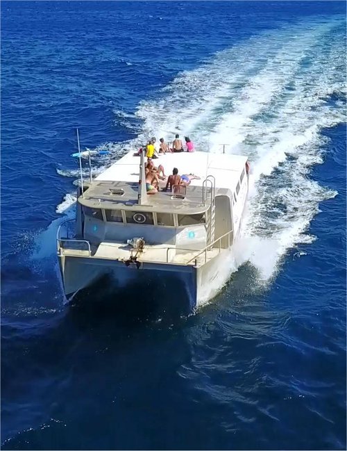 photo catamaran engine