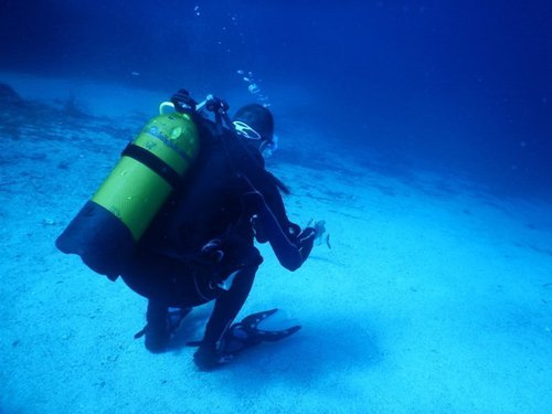 photo matériel de plongée sous-marine et snorkeling ; combinaisons cressi sub